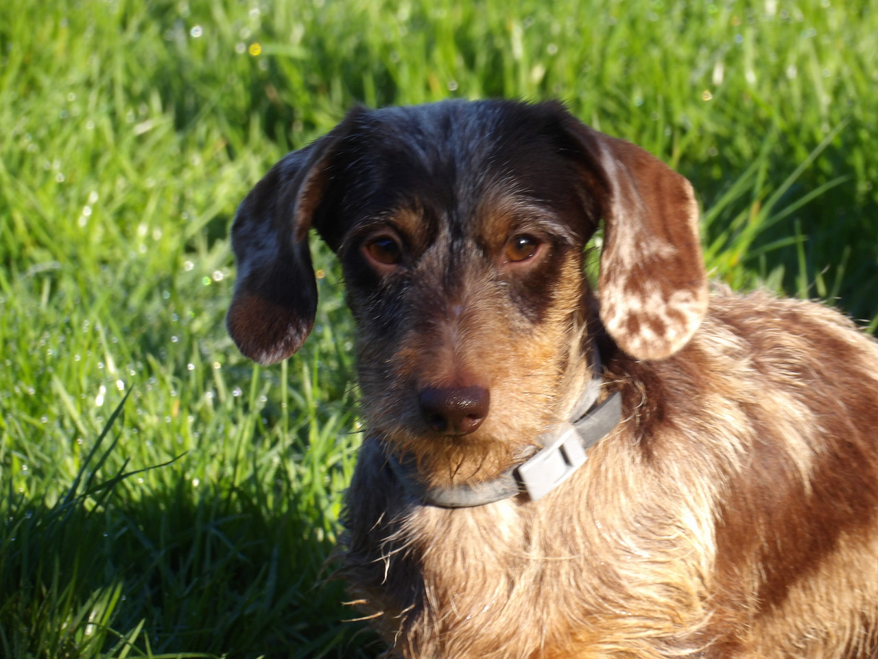 [Image: 125-0675.jpg]