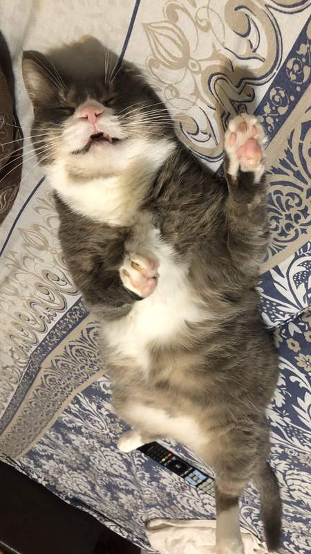 166D0106-8621-45FE-BCEE-F70B9487C9F7