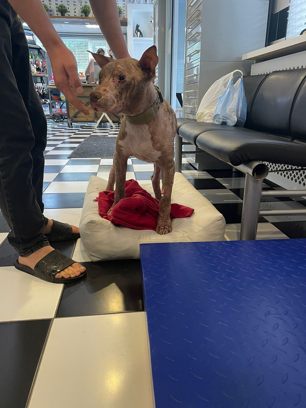 WhatsApp Image 2023-07-24 at 15.26.52 (1)