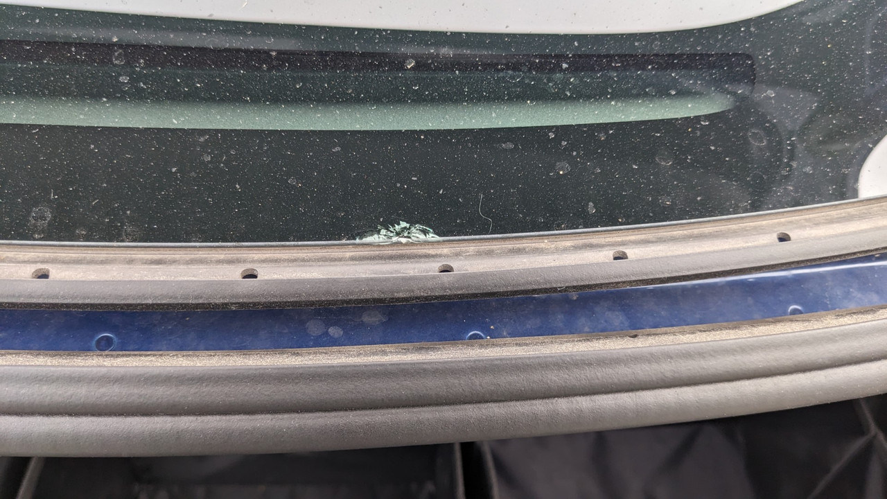 PXL_20230311_094212023