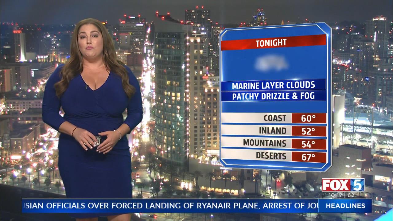 05.30 - 06.00.00 - FOX 5 News at 10 00pm  ᴺᵉʷ. Local news, weather, t....ts_snapshot_19.17_[2021.05.