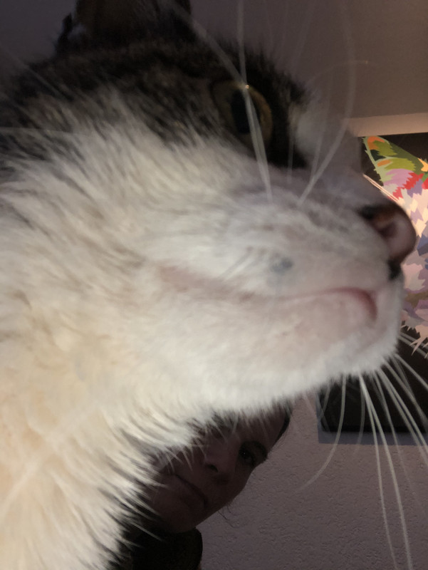 D474801F-3C72-4FC4-A04C-82094C883266