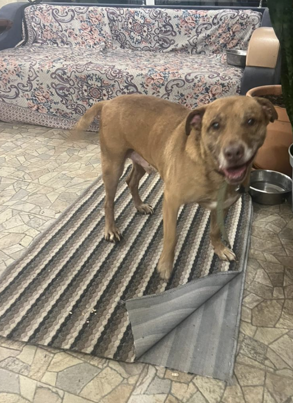 Снимок экрана 2024-05-06 в 14.18.28