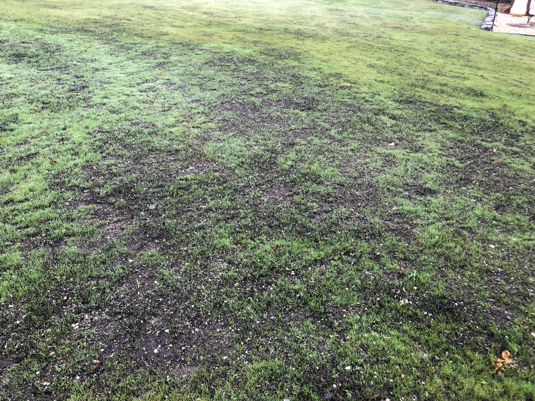 2DEB5048-70F4-4CB3-AF7F-FB935962267F