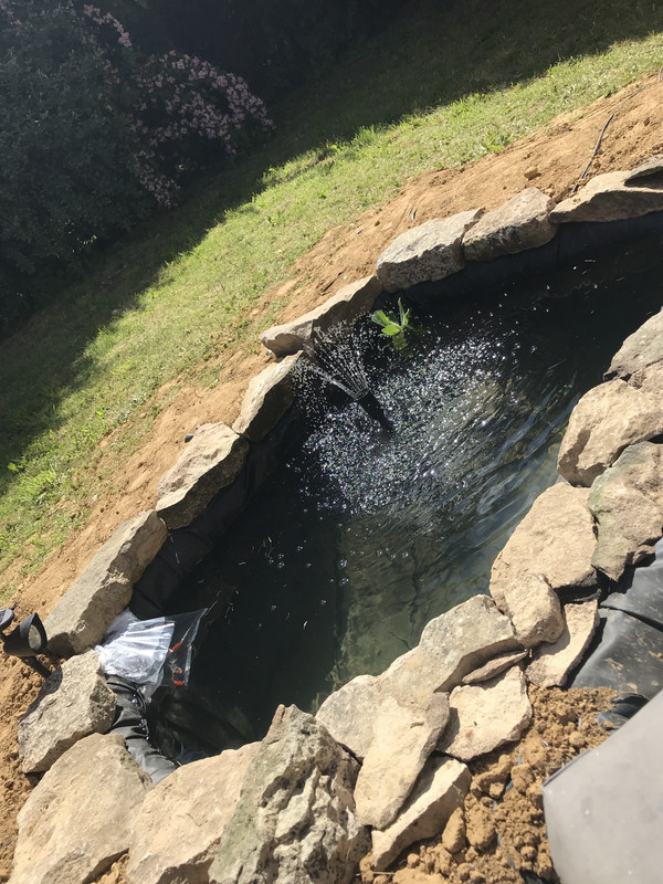 EB20FBFB-4515-4F20-A6B8-50A4AD28068E