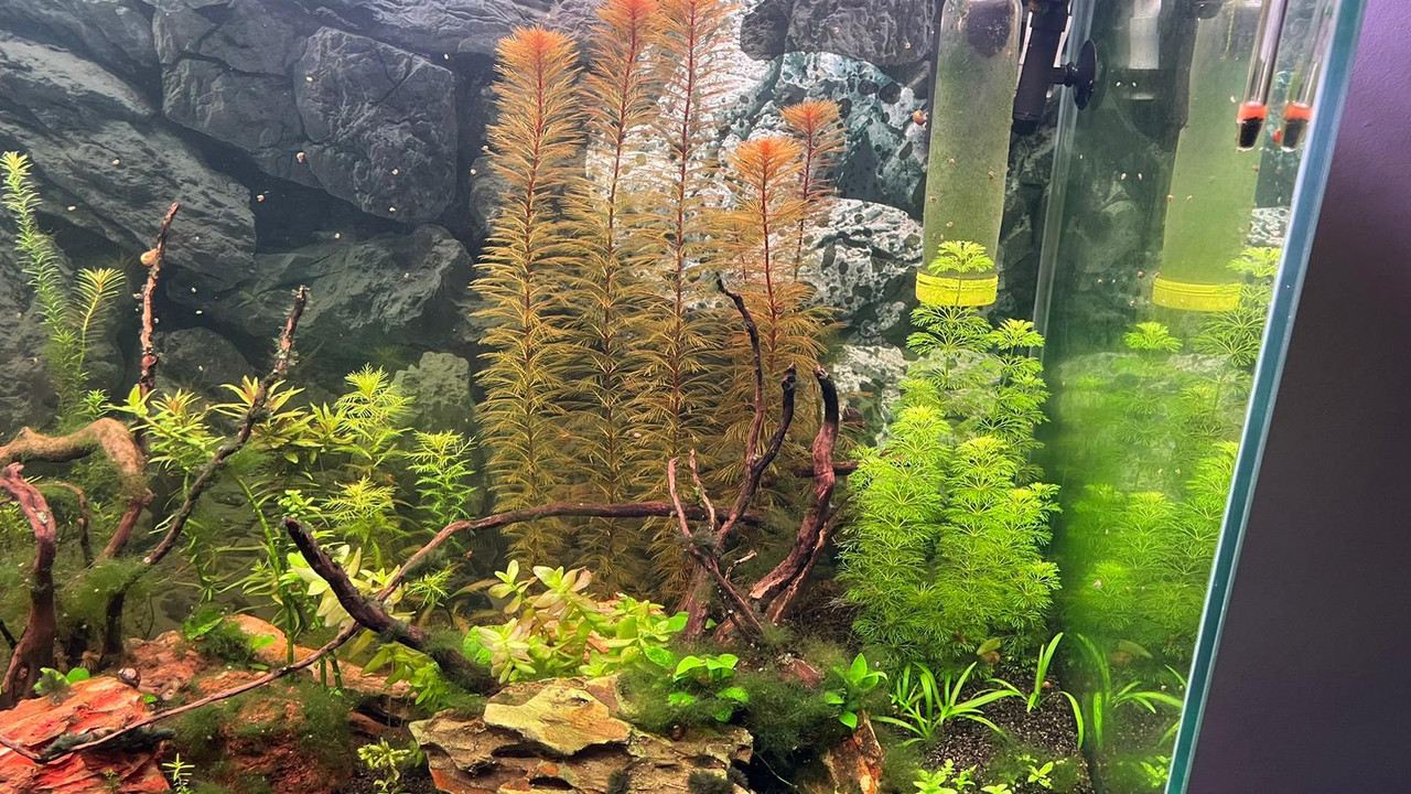 WhatsApp Image 2023-03-14 at 19.29.42