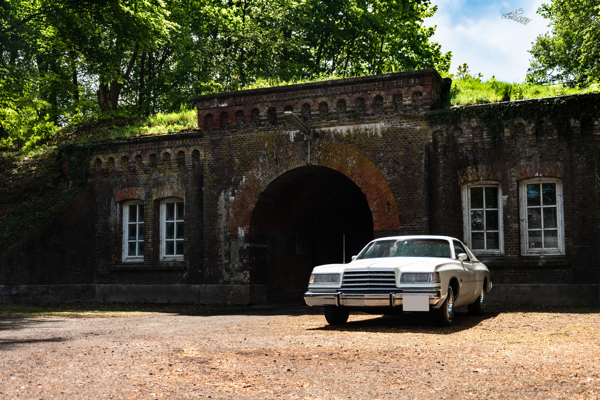 DSC_1175 Dodge Magnum