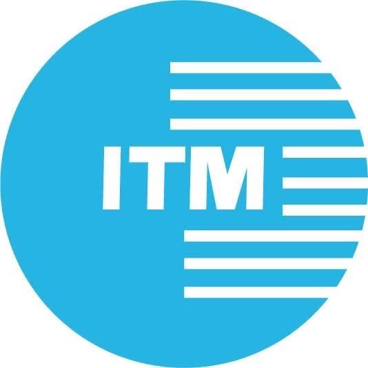 INTEMO S.A. logo