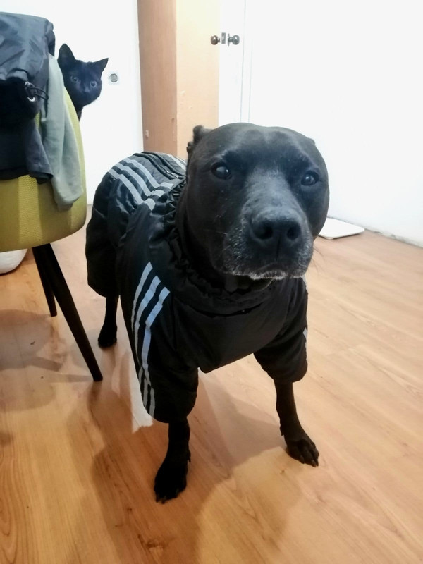 13F810BE-5336-4B9F-8C5C-A3CECA1B517E