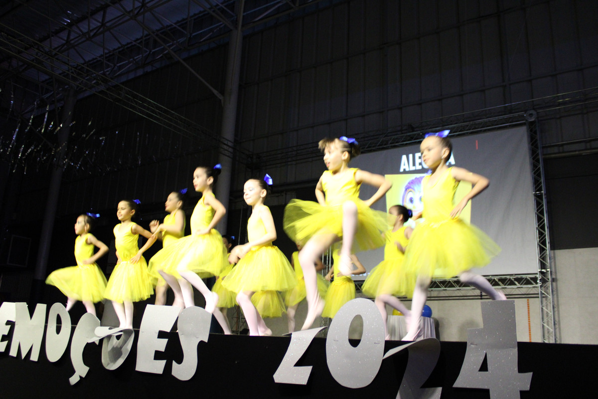 Apresentação de dança (Ballet) (141)