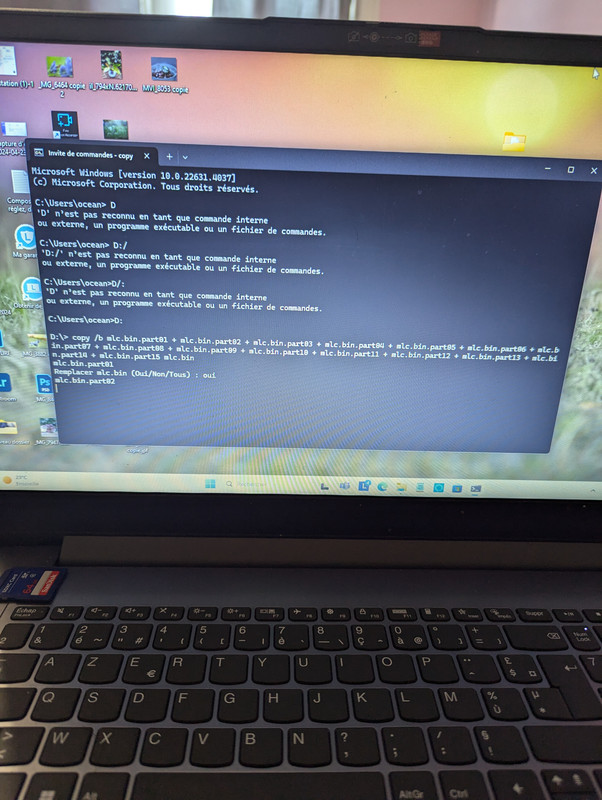 PXL_20240820_063147784