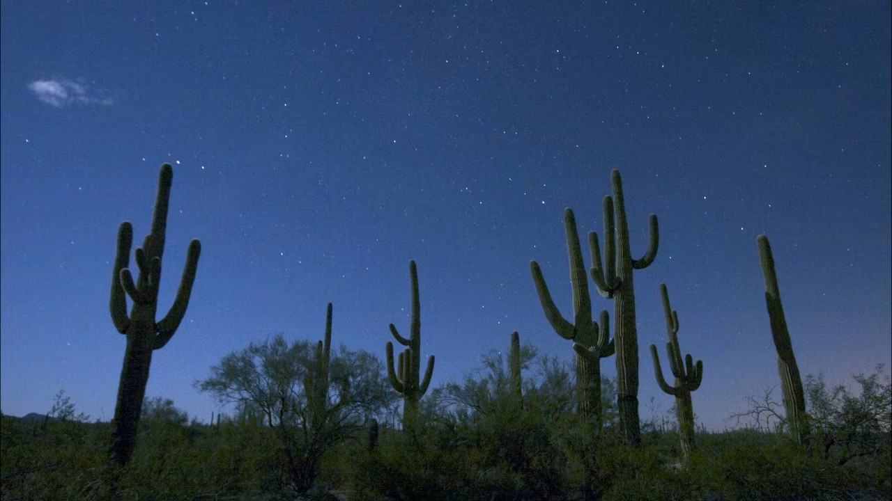 Planet Earth S01E05 Deserts.mkv_snapshot_24.54_[2018.03.01_22.16