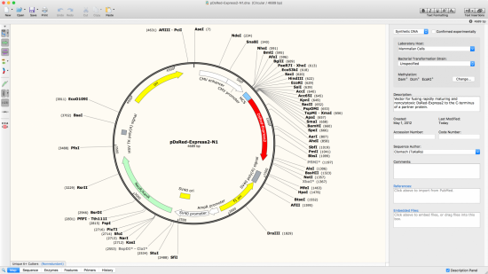 SnapGene 5.2.3 Multilingual