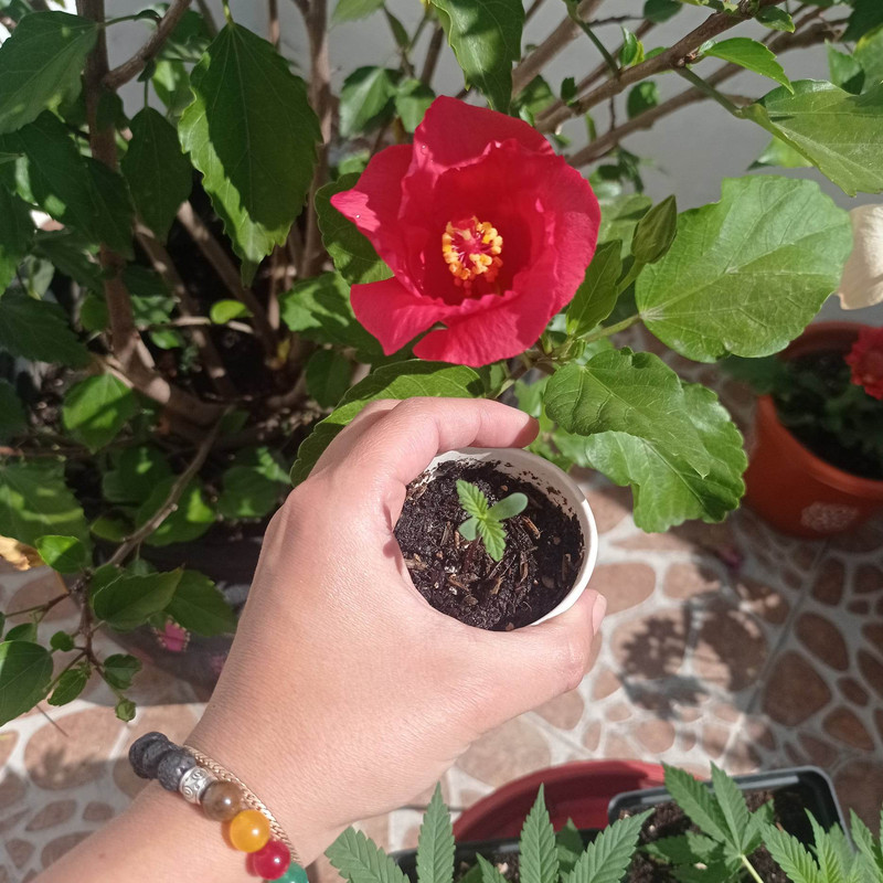 322605342_1323025251873960_8782545218674084309_n