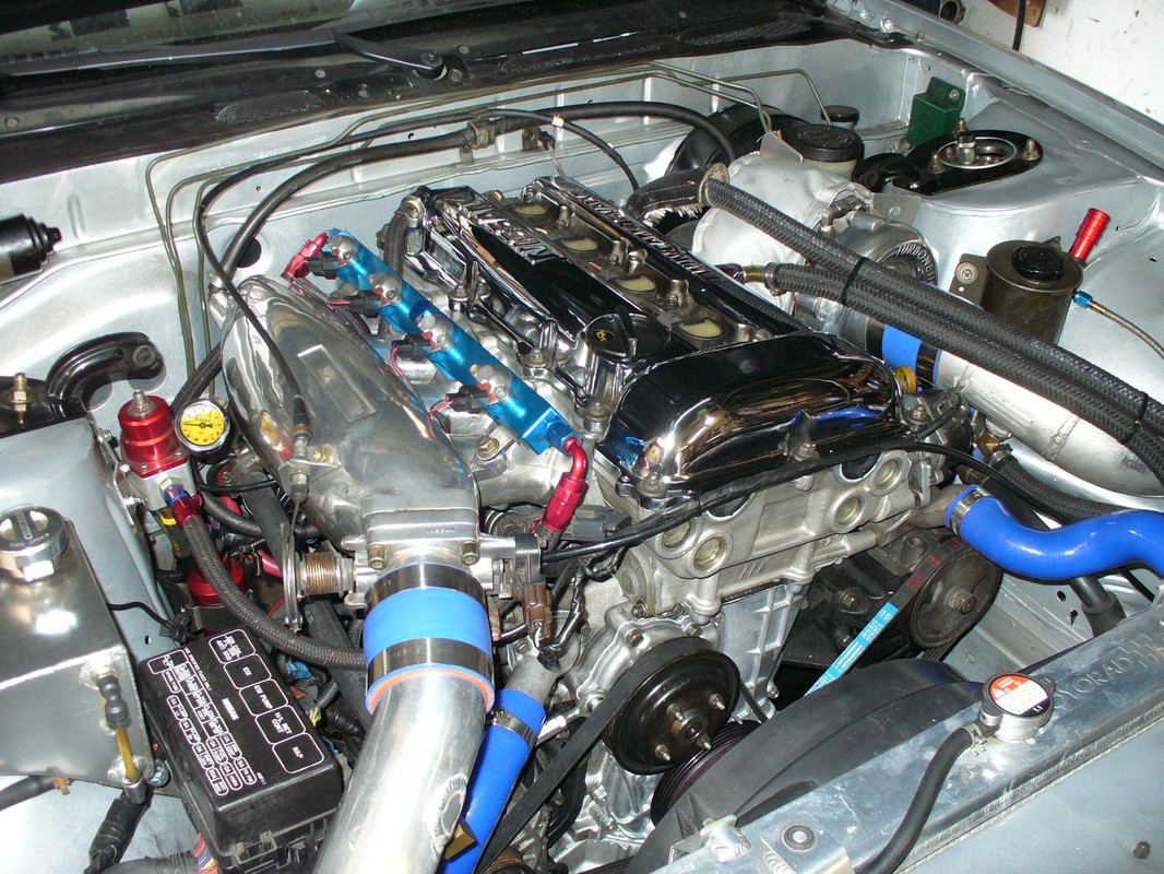 P1250122 (2)