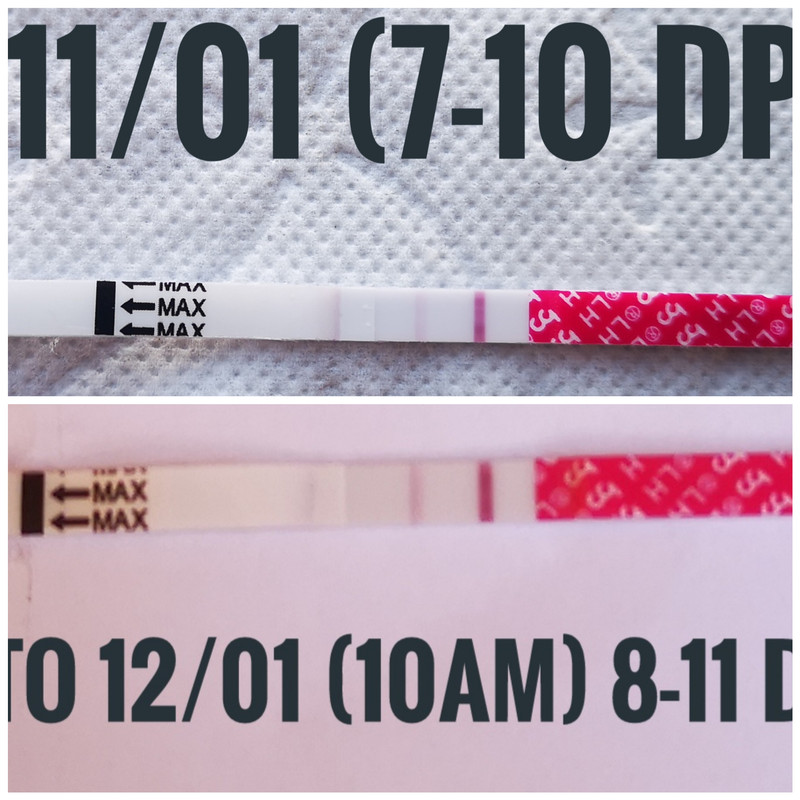 inCollage_20200112_103918737