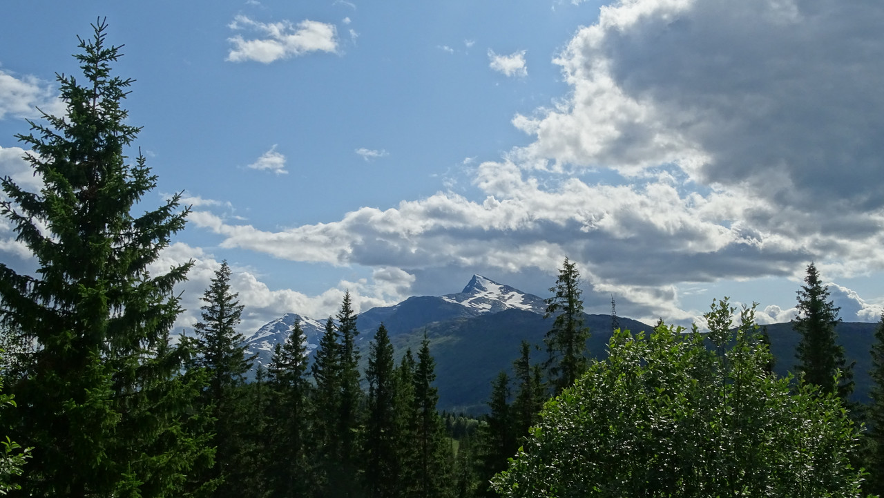 DSC01138.jpg