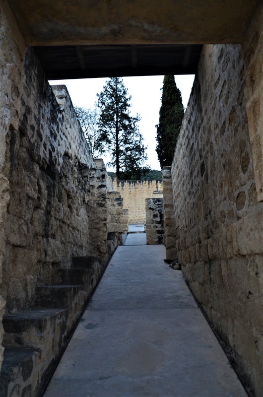 YACIMIENTO ARQUEOLOGICO MEDINA AZAHARA-10-9-2021 - Córdoba y sus pueblos-2017/2020 (53)