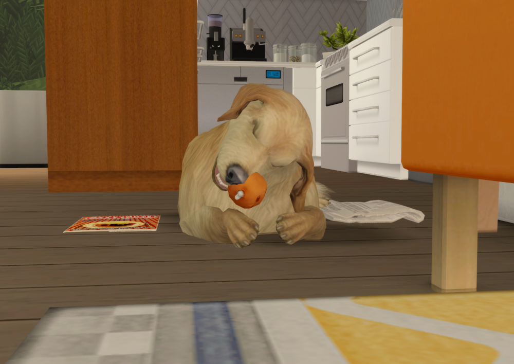 Sims2-EP9-RPC-2022-02-06-14-12-19-52