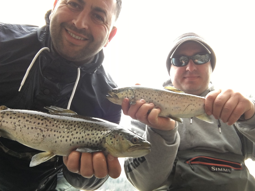 1F401DFB-60FB-44A3-A196-360EB440AFD4