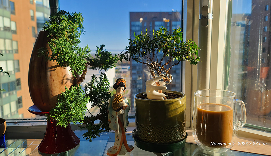 [Image: 20251102-082303.png]