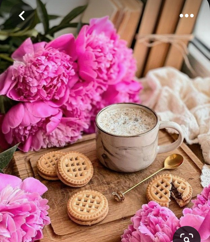 Screenshot_20230712_011916_Pinterest