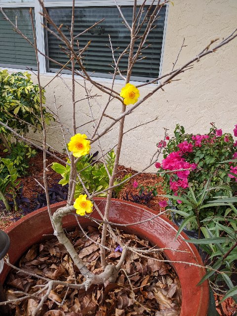 [Image: IMG-20200124-114702.jpg]