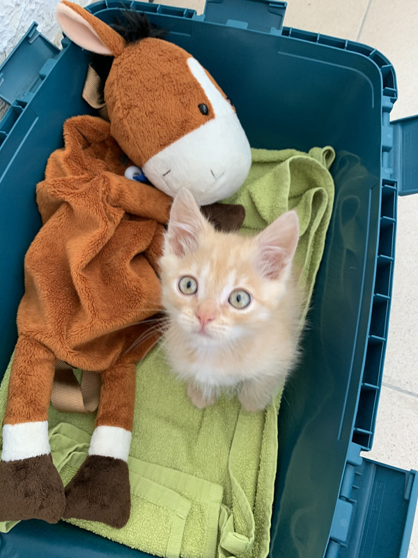 1C5A776B-5384-41AC-9AEB-683864F62131