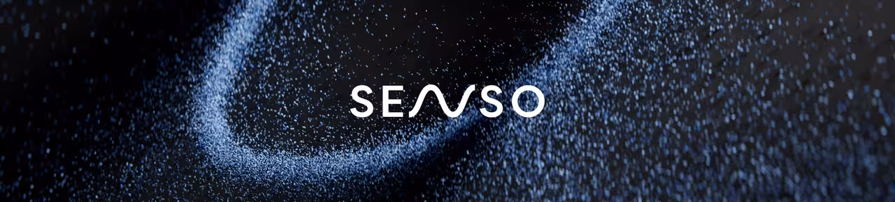 SENSO banner