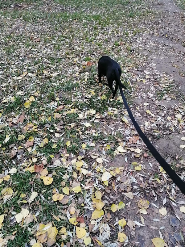 951929A1-CDEC-444F-84BA-C804534C34C1