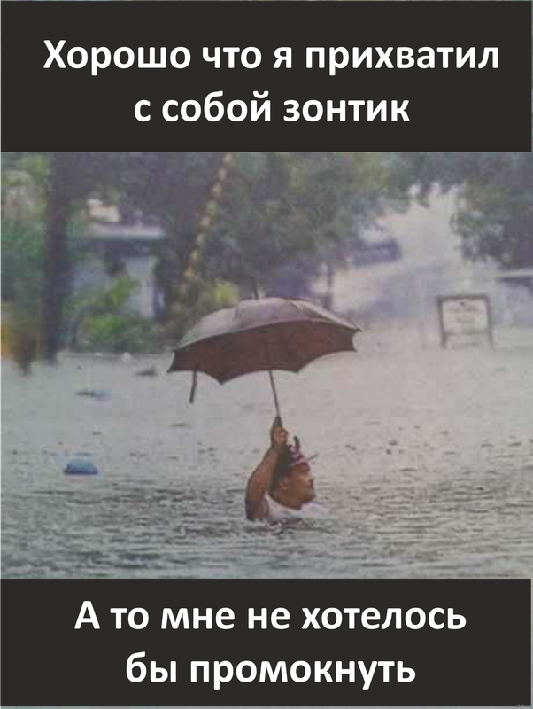 1685636850-polinka-top-p-smeshnie-kartinki-pro-dozhdlivuyu-pogodu-p-1.png