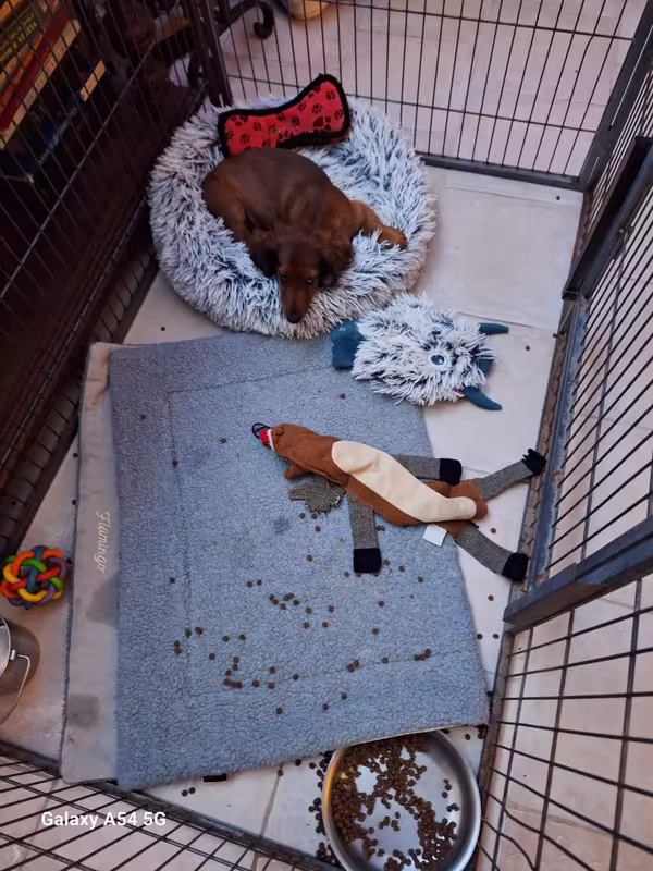 [Image: 20240924-211029.avif]