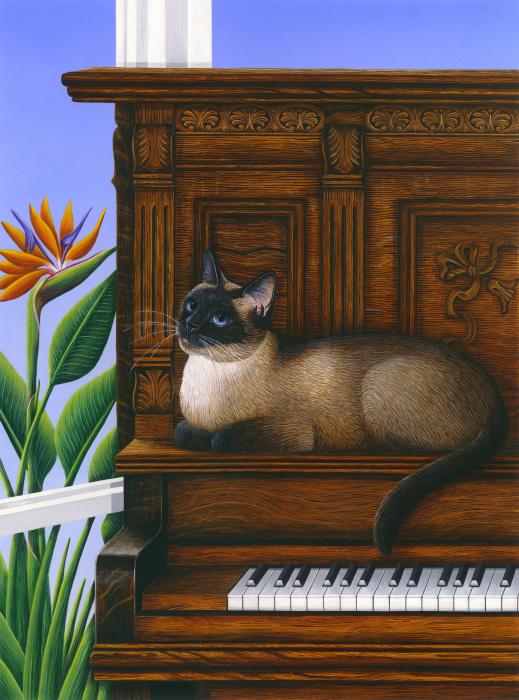 22-cat-missy-on-piano-carol-wilson-002