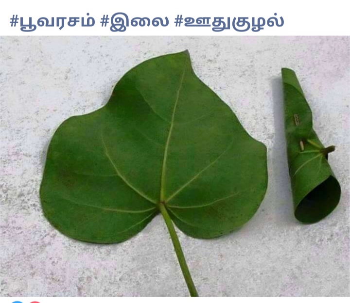 Screenshot-2021-08-21-12-40-29-231-com-a