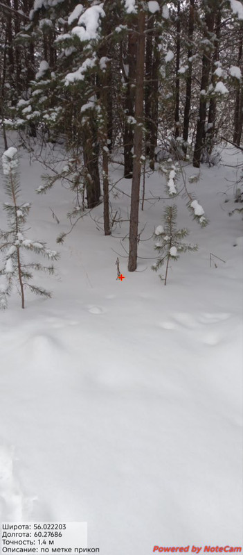 photo 55 2026 01 20 14 05 02