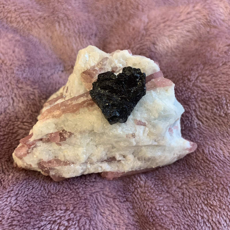 5AE6D780-22FF-4E6C-8456-40CA6E25CA11