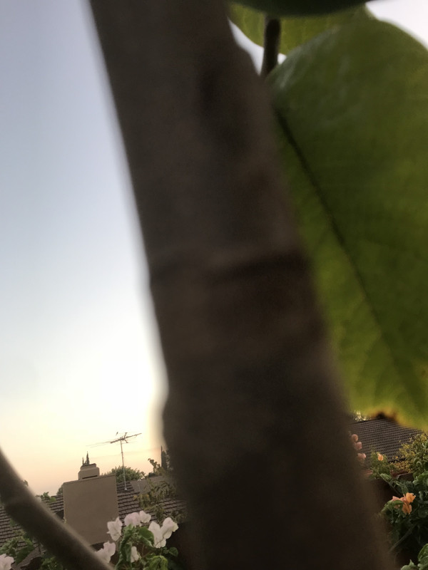 2439F7A5-AF95-451C-8E95-12E1D241E4DE