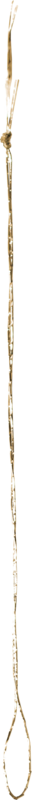 0 (85)