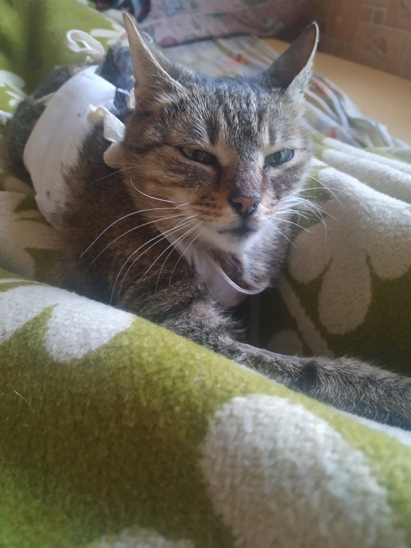 05C6EB3B-FEF1-4D80-BA02-7E1FADD95D1F