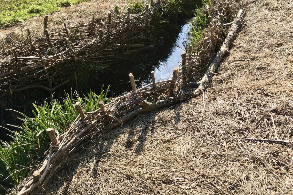 749A4AE6-D83F-4DBB-A531-5C13CDB6EB96