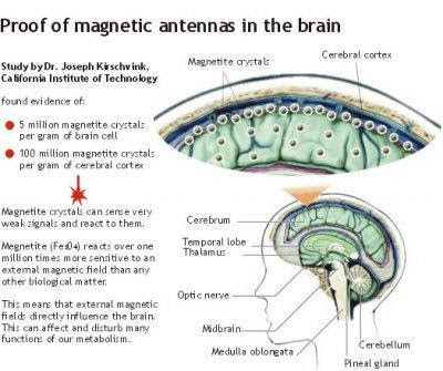 Magnetite.jpg