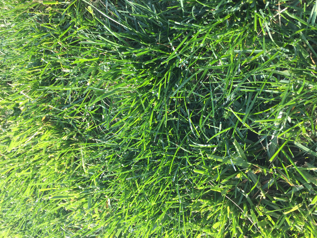 Photo May 04, 09 20 30