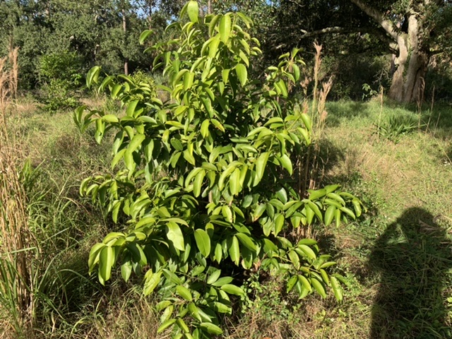 D16B37A4-A413-4620-BFE0-2990C6E7E18A