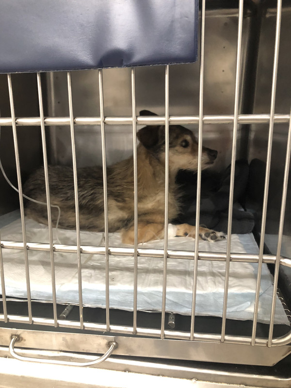 6E40ABAF-F200-4FEB-A6E1-C3C2271A6E63