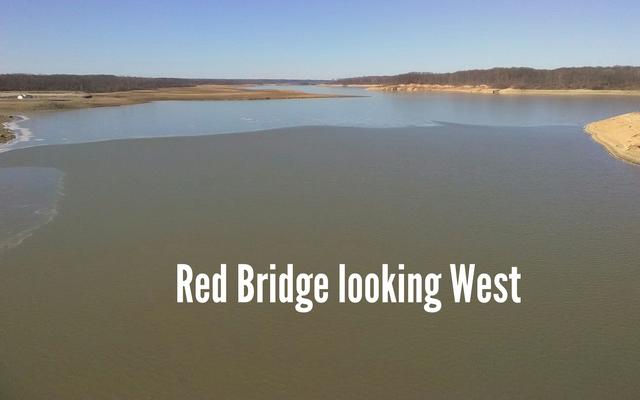 aviary-image-1517608924984