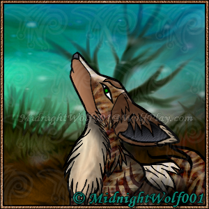 https://i.postimg.cc/g2StHTwq/Midnight-Wolf001-Avatar-To-Redo-V102.png