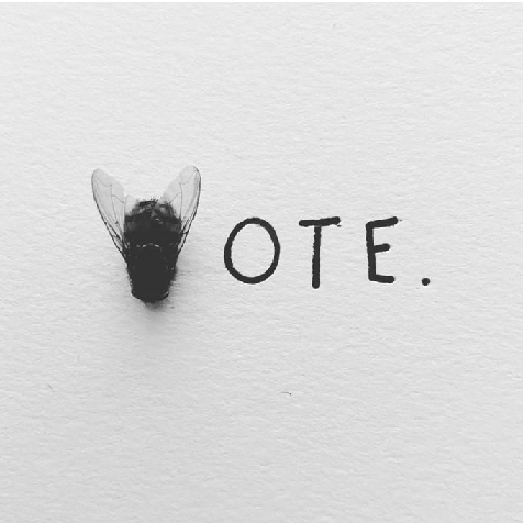 [Image: Vote-fly.jpg]