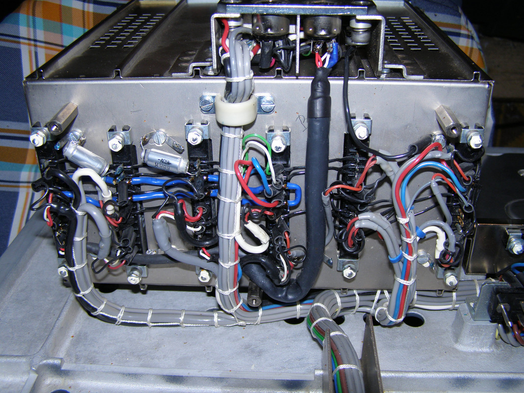 P5170016