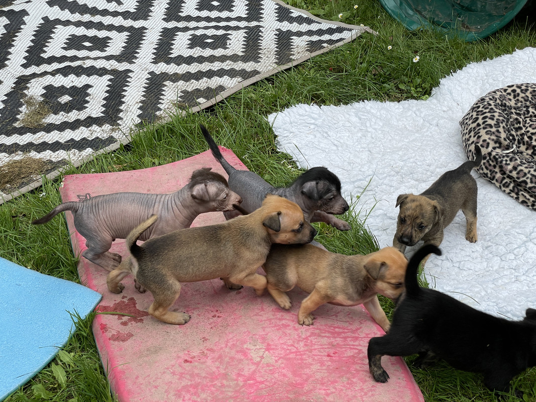 F691BE1B-EC19-43C1-89BF-F112EF6B1642