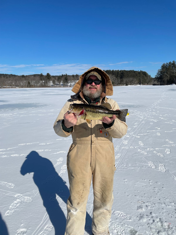 bass